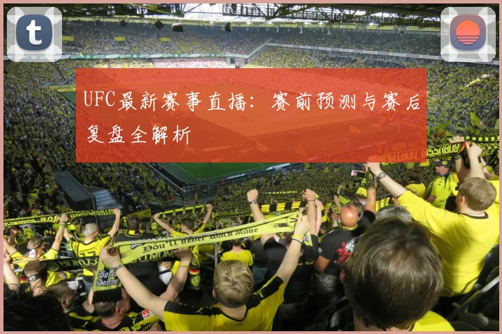 UFC最新赛事直播：赛前预测与赛后复盘全解析