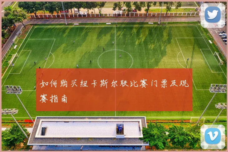 如何购买纽卡斯尔联比赛门票及观赛指南