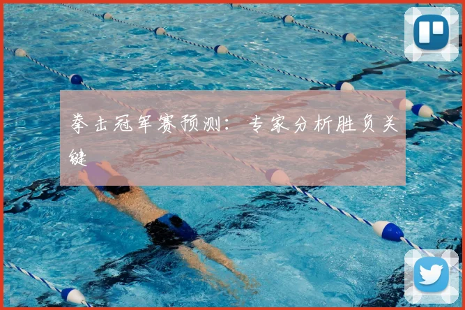 拳击冠军赛预测：专家分析胜负关键