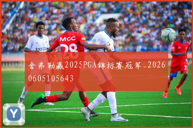 舍弗勒赢2025PGA锦标赛冠军_20260605105643