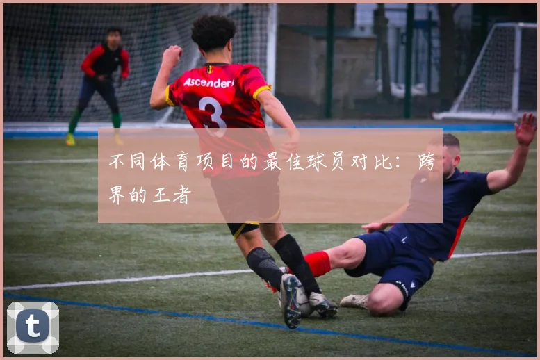 不同体育项目的最佳球员对比：跨界的王者