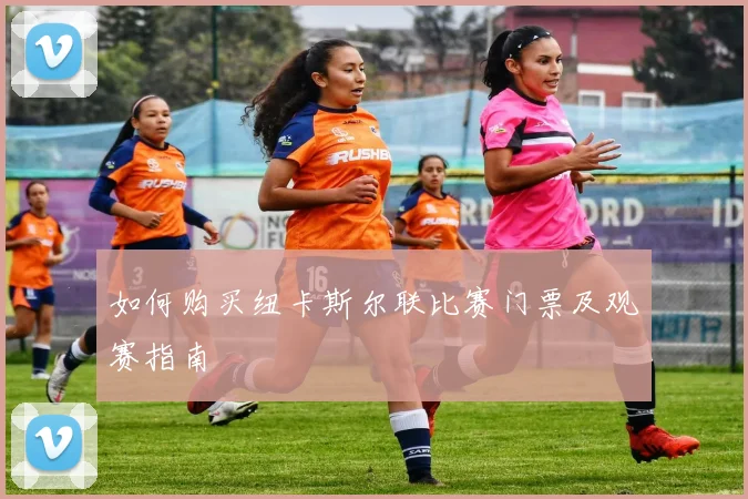 如何购买纽卡斯尔联比赛门票及观赛指南